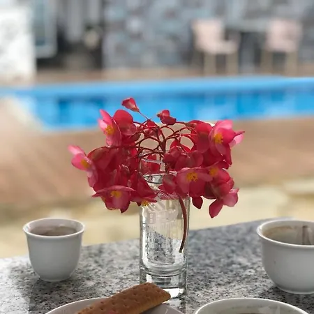 Floban & Mirdar Koshi Apartment