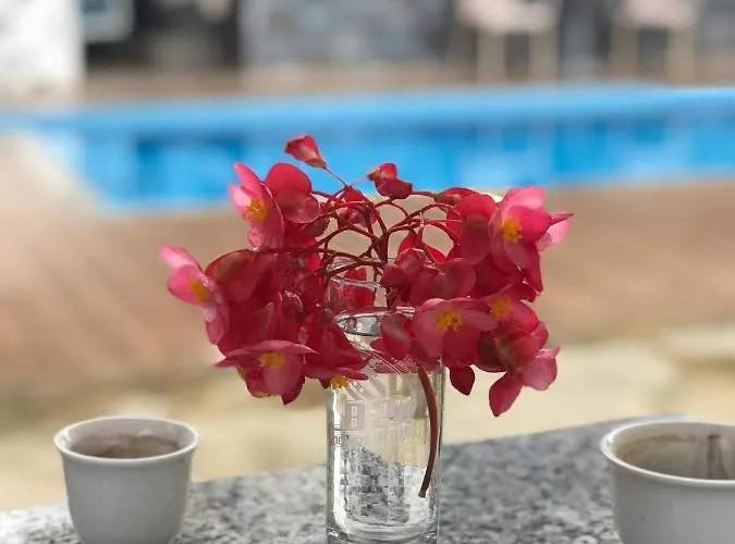 Floban & Mirdar Koshi Apartament